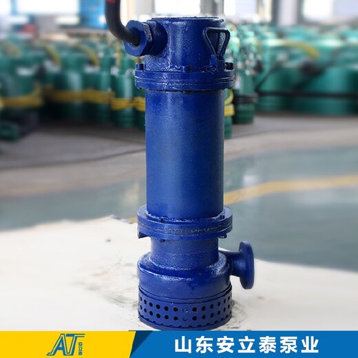 上海耐高温WQB防爆潜污泵怎么样,不锈钢防爆泵
