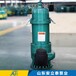 重庆新型WQB防爆潜污泵多少钱