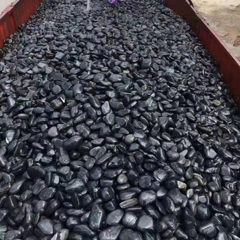 亳州黑色鹅卵石批发厂家黑色鹅卵石诺诺鹅卵石滤料