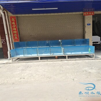 肇庆市海鲜市场玻璃鱼池海鲜鱼池冷水机