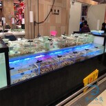 大湾区海鲜池酒店海鲜池,东莞市三组制冷海鲜池海鲜鱼池造型图片5