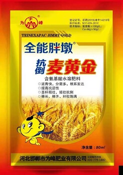 为峰胖墩麦黄金,天津销售为峰麦黄金，控旺，抗倒伏，营养灌浆叶面肥批发代理