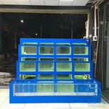 惠州市三層海鮮玻璃魚缸海鮮魚池怎么打膠,酒店海鮮池圖片3