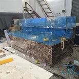 惠州市三層海鮮玻璃魚缸海鮮魚池怎么打膠,酒店海鮮池圖片4