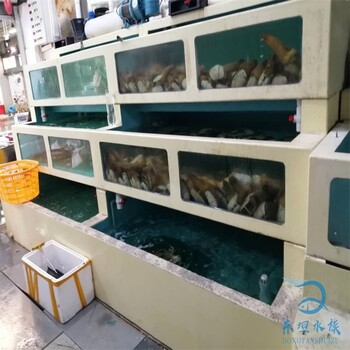 中山市生猛海鲜池海鲜鱼池怎么清洗消毒,酒店海鲜池