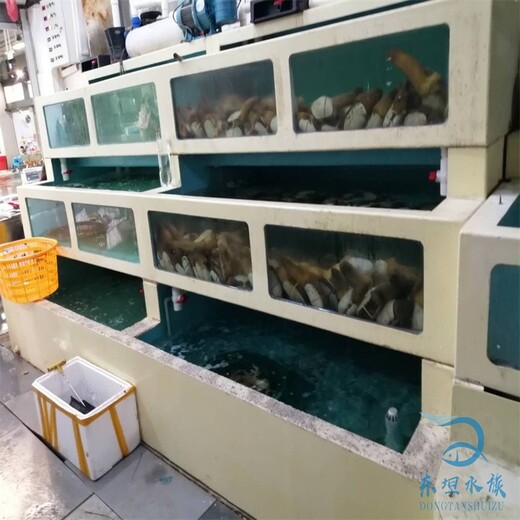 香港圆形海鲜鱼池海鲜鱼池过滤系统,超市生鲜鱼池