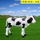 廣場奶牛雕塑圖