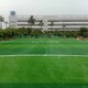 广州人造草坪图