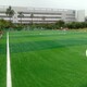 广州人造草坪图
