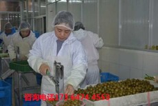 香港零费用出国招加拿大食品厂普工图片2