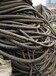 苏州废铝电缆回收-全新电缆回收