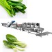 净菜加工流水线学生营养餐配餐蔬菜切洗粗加工生产线厂家直供