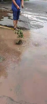 广东罗湖市政管道漏水检测电话