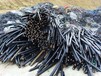 杭州有沒有銅鋁電纜回收價格怎么樣