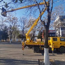 延庆高空作业车出租电话咨询,直臂式高空作业车出租