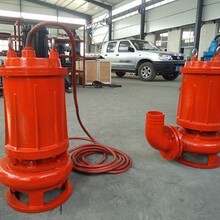 泗陽縣污水排污泵出租電話,潛水泵圖片