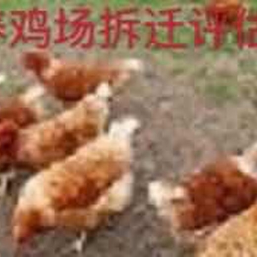 北京养猪场损毁评估养猪场征收价值评估,养猪场补偿评估