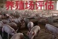 北京養豬場財產動遷評估養豬場征收價值評估,種豬養殖場評估
