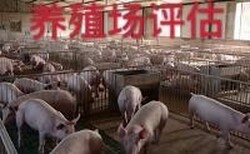 上海養豬場動遷毀壞評估養豬場征收價值評估,種豬養殖場評估圖片0