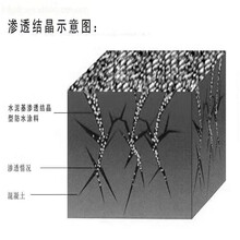 江苏水泥基渗透结晶型防水涂料操作方法图片