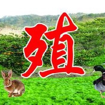 重庆养猪场评估养殖场评估公司野菜种植评估,养殖场补偿评估