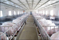 湖南養豬場評估養殖場評估公司畜牧養殖拆遷評估圖片0