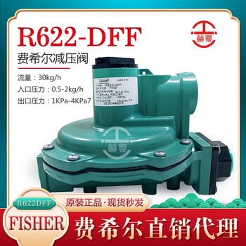 美国Fisher费希尔R622-DFF中低压调压器燃气减压阀绿色圆盘调压器圆盘减压阀