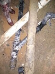 厂房消防管漏水检测查漏,家庭水管渗漏水检漏图片4