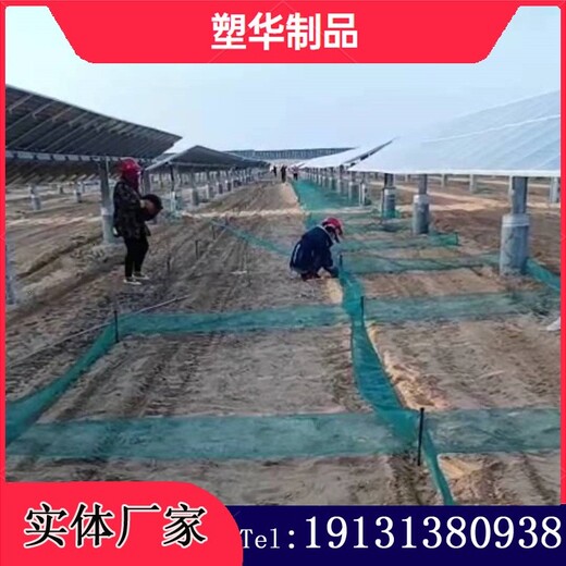 新疆热门塑华阻沙网安全可靠,防风固沙网