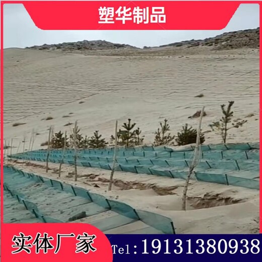 内蒙古供应塑华阻沙网安全可靠,防风固沙网
