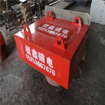 扬州悬挂式除铁器生产厂家