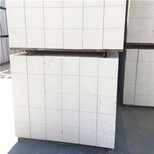 嘉兴市出售蒸压加气混凝土砌块A3.5B06图片0