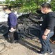 绍兴诸暨电力电缆库房货架拆除回收图