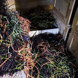 杭州余杭仓库拆除储存物资回收,电线电缆回收图片1
