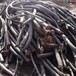 桐乡铜芯/铝芯电缆线回收公司电缆线收购当场结算