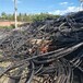 嵊州电缆回收公司高压废旧电缆线收购价格
