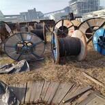 杭州余杭仓库拆除储存物资回收,电线电缆回收图片2