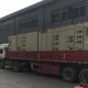 杭州水冷开放式工业冷冻机组回收图