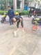 惠州检测埋地管网漏水图