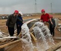 安慶市輕型井點降水施工報價