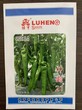 神剑21羊角黄辣椒种子苗子中早熟翠绿色图片