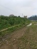 湖南株洲生态护坡砖厂家批发护坡墙