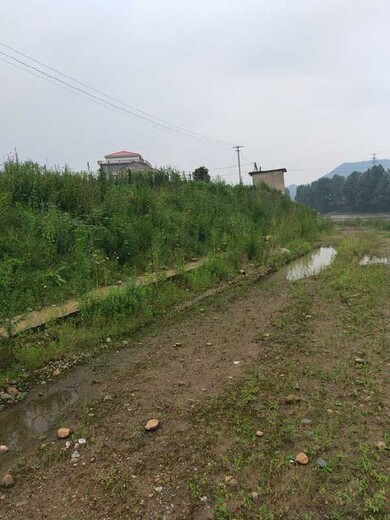 广西贺州自嵌式生态护坡砖厂家批发