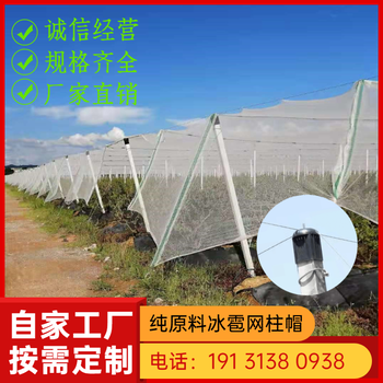 寧河防雹網(wǎng)塑料柱帽批發(fā)價格