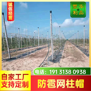 寧河防雹網(wǎng)塑料柱帽批發(fā)價格