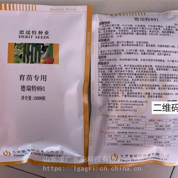 德瑞特891黃瓜種子苗子天津德瑞特種業(yè)