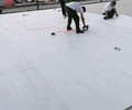 拓峰冰蹴球冰板,上海冰蹴球場地冰板圍欄保養