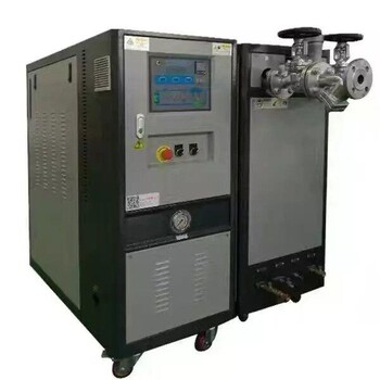 平板硫化机导热油炉滚筒油加热器温度控制器