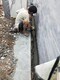 惠州外墙漏水维修图