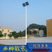 （led球场灯）户外篮球场led路灯12米15米可设计款式按要求生产灯杆